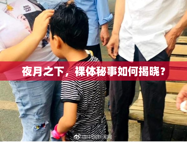 夜月之下，裸体秘事如何揭晓？