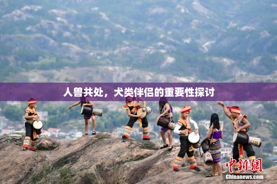 人兽共处，犬类伴侣的重要性探讨