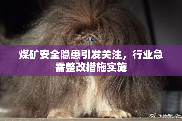 煤矿安全隐患引发关注，行业急需整改措施实施