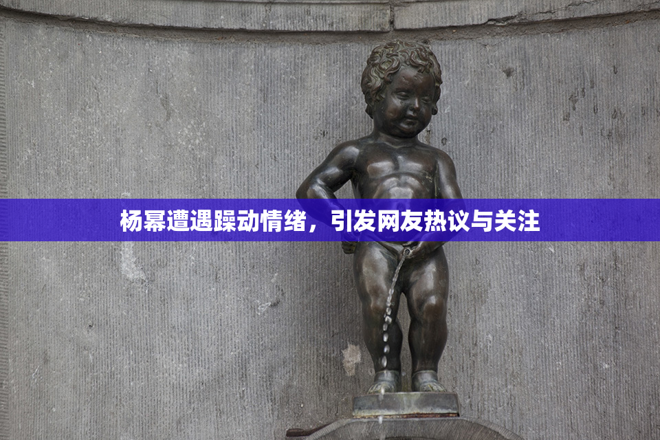 杨幂遭遇躁动情绪，引发网友热议与关注