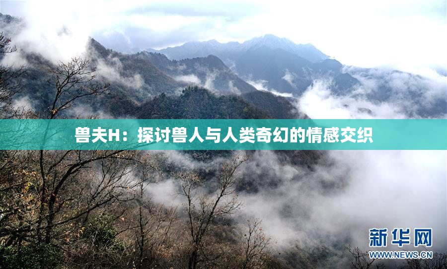 兽夫H：探讨兽人与人类奇幻的情感交织