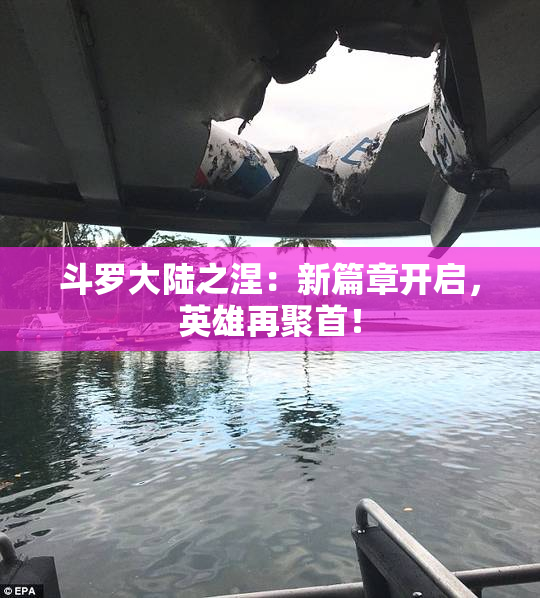 斗罗大陆之涅：新篇章开启，英雄再聚首！