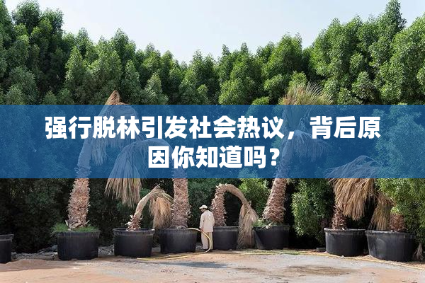 强行脱林引发社会热议，背后原因你知道吗？