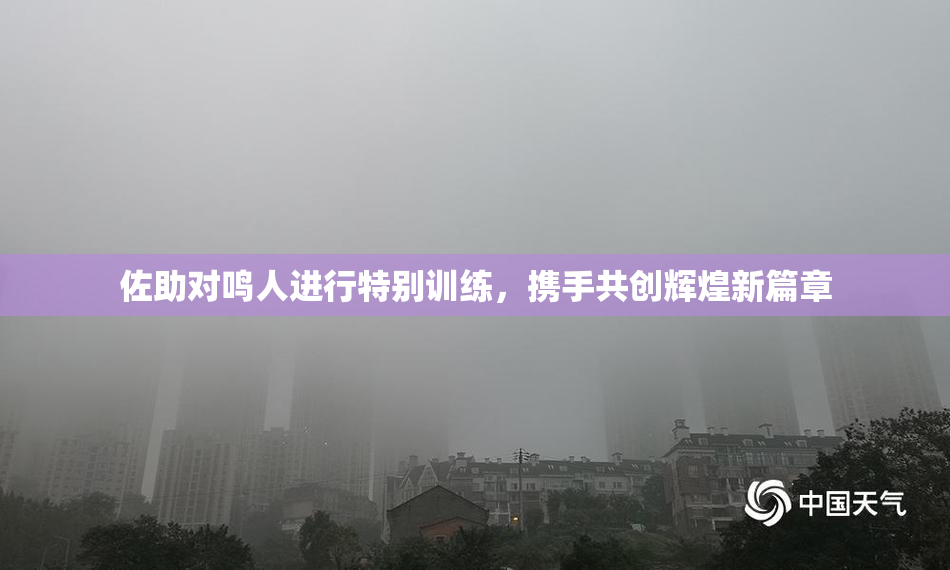 佐助对鸣人进行特别训练，携手共创辉煌新篇章
