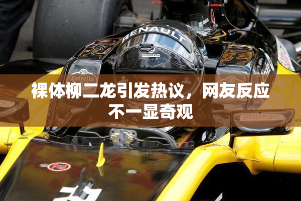 裸体柳二龙引发热议，网友反应不一显奇观