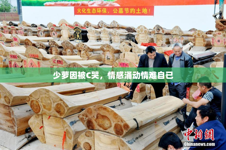 少萝因被C哭，情感涌动情难自已