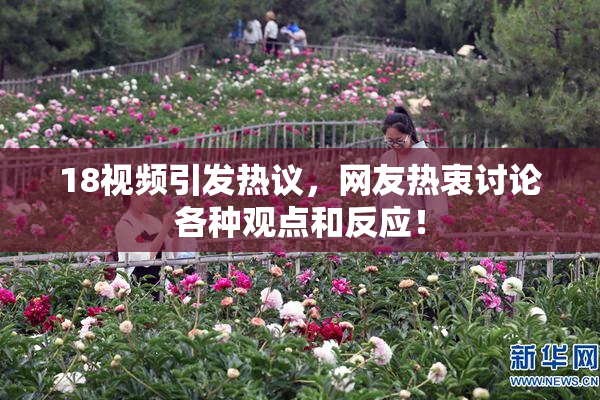 18视频引发热议，网友热衷讨论各种观点和反应！