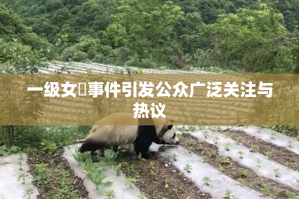 一级女婬事件引发公众广泛关注与热议