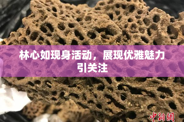林心如现身活动，展现优雅魅力引关注