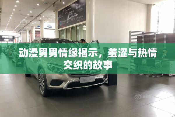 动漫男男情缘揭示，羞涩与热情交织的故事
