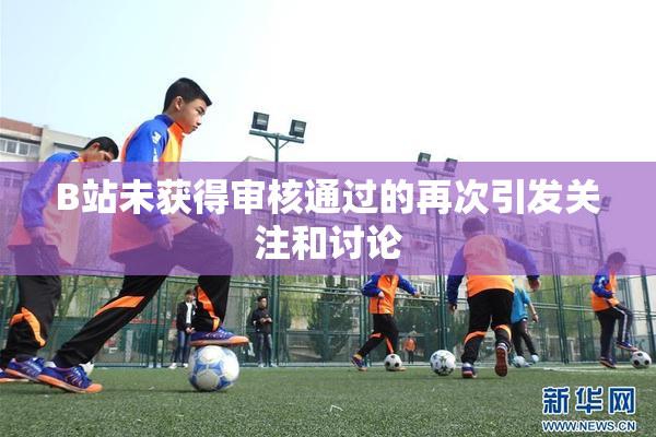 B站未获得审核通过的再次引发关注和讨论