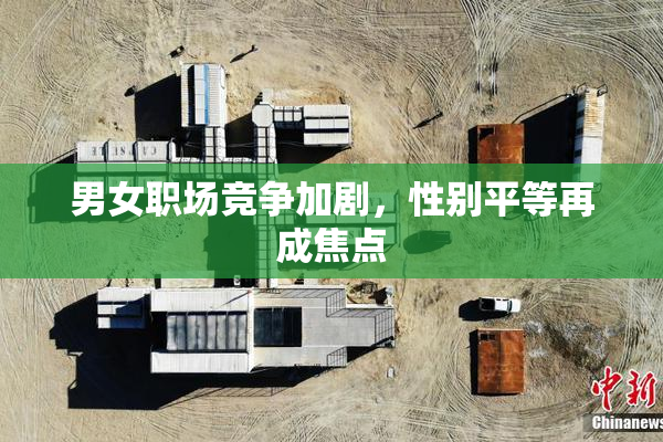 男女职场竞争加剧，性别平等再成焦点