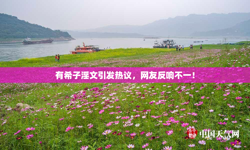 有希子淫文引发热议，网友反响不一！