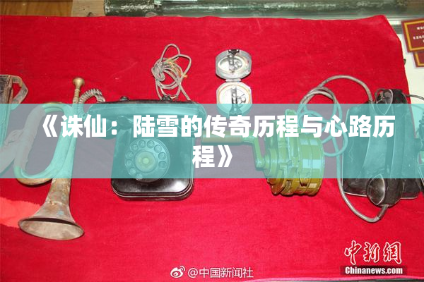《诛仙：陆雪的传奇历程与心路历程》