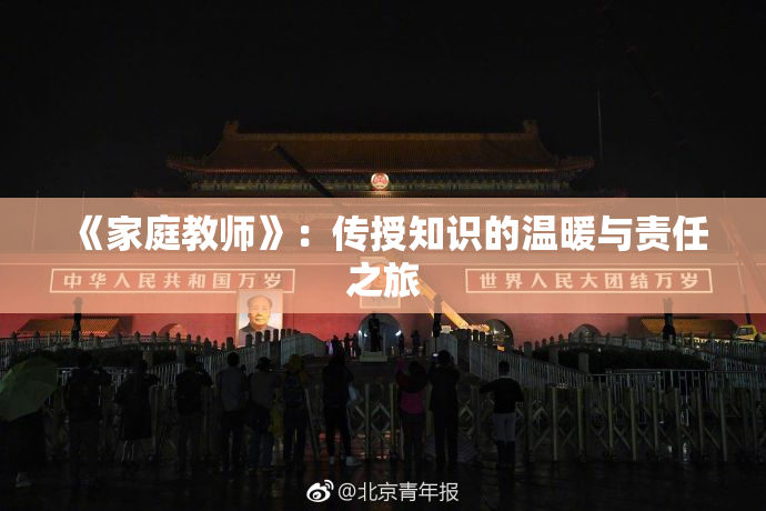 《家庭教师》：传授知识的温暖与责任之旅