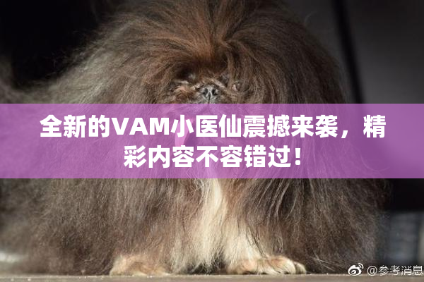全新的VAM小医仙震撼来袭，精彩内容不容错过！