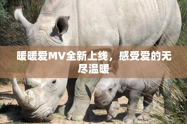 暖暖爱MV全新上线，感受爱的无尽温暖