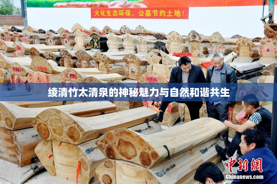 绫清竹太清泉的神秘魅力与自然和谐共生