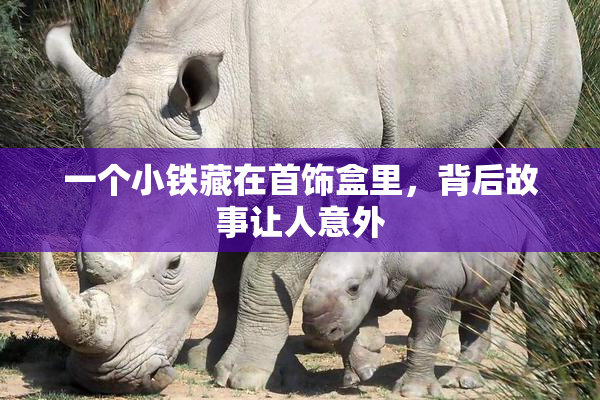 一个小铁藏在首饰盒里，背后故事让人意外