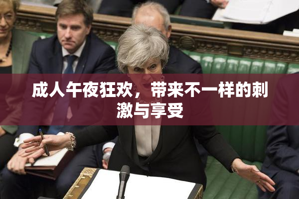成人午夜狂欢，带来不一样的刺激与享受