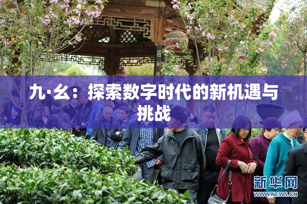 九·幺：探索数字时代的新机遇与挑战