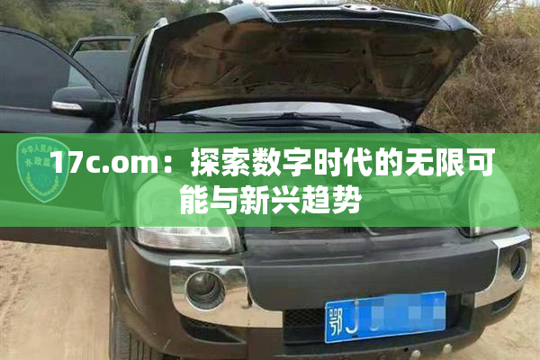 17c.om：探索数字时代的无限可能与新兴趋势