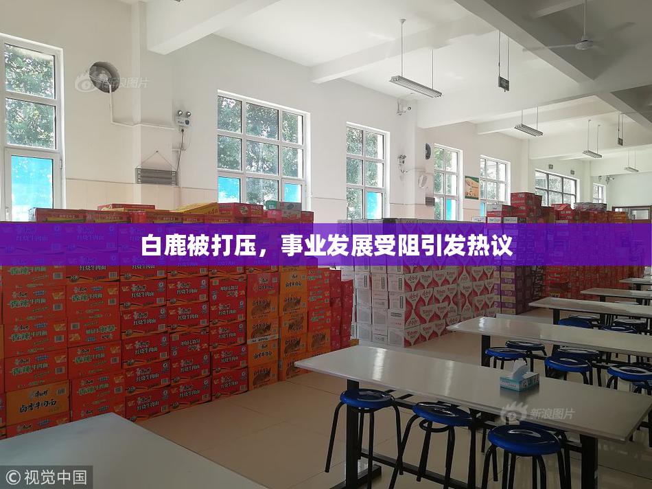 白鹿被打压，事业发展受阻引发热议