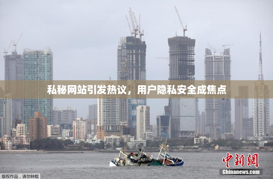 私秘网站引发热议，用户隐私安全成焦点