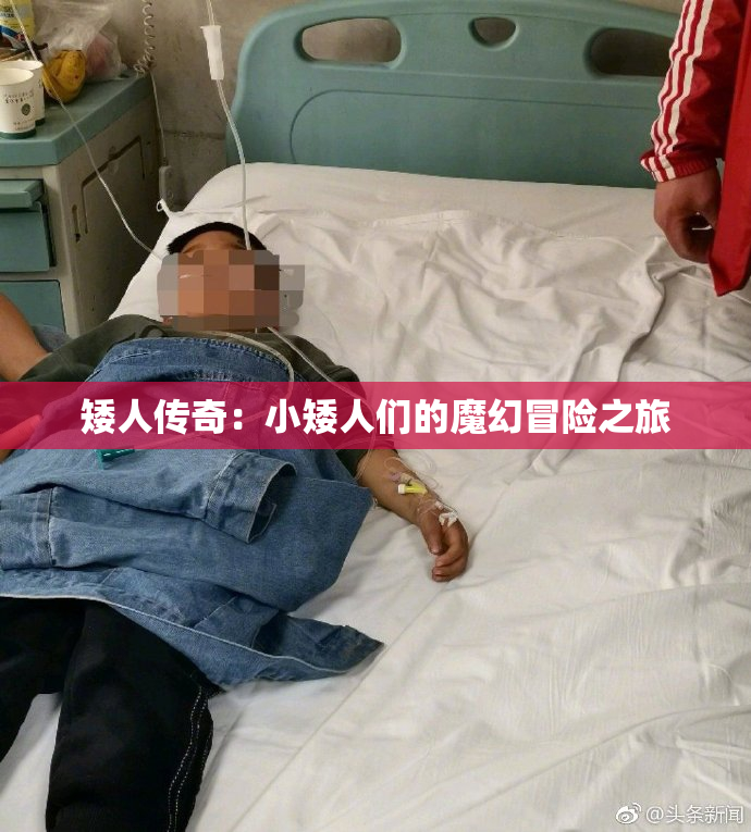 矮人传奇：小矮人们的魔幻冒险之旅