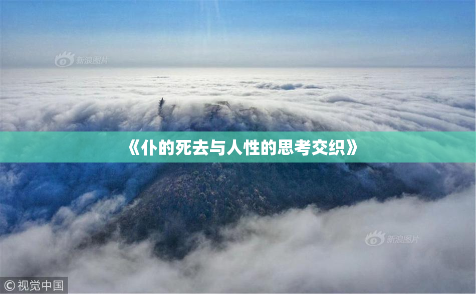 《仆的死去与人性的思考交织》