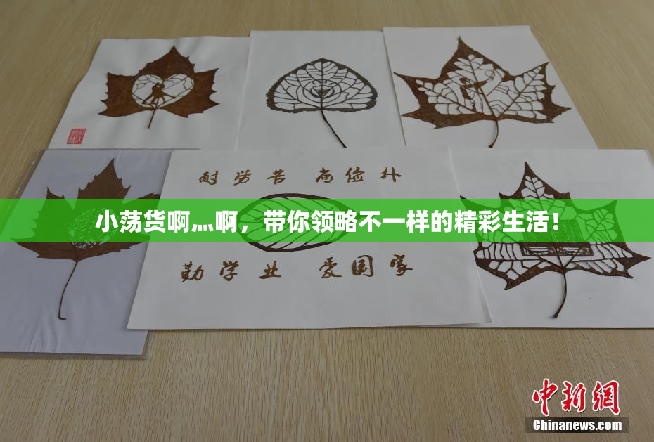 小荡货啊灬啊，带你领略不一样的精彩生活！