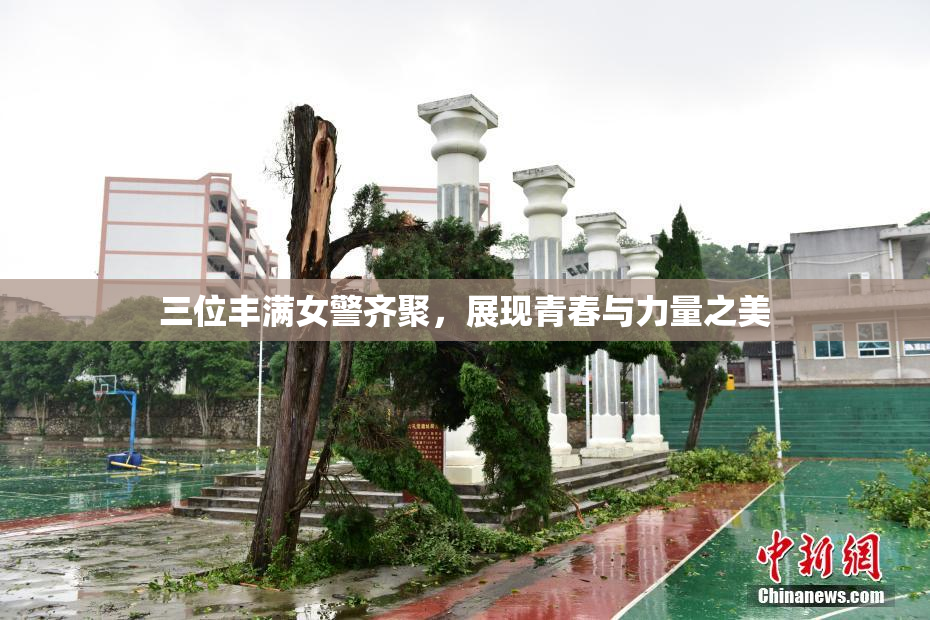 三位丰满女警齐聚，展现青春与力量之美