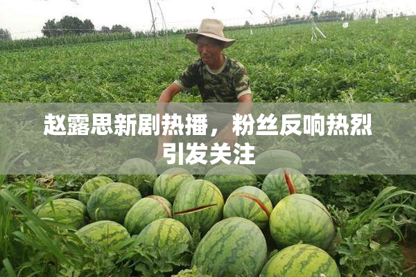 赵露思新剧热播，粉丝反响热烈引发关注