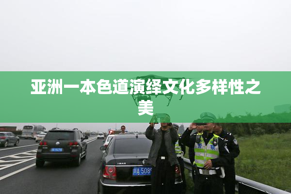 亚洲一本色道演绎文化多样性之美