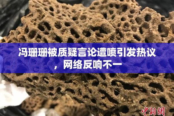 冯珊珊被质疑言论遭喷引发热议，网络反响不一