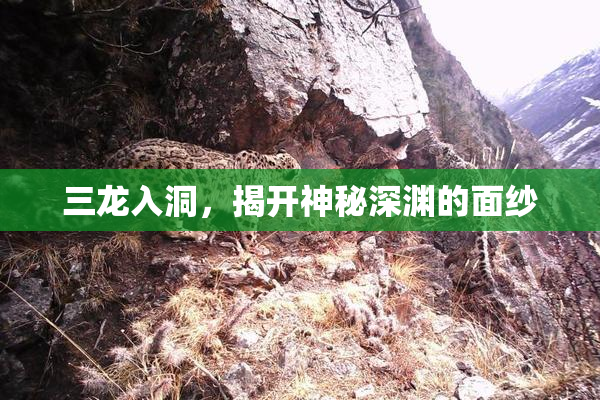 三龙入洞，揭开神秘深渊的面纱