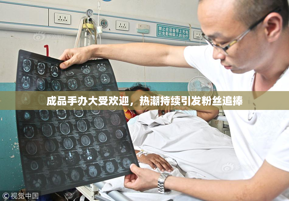 成品手办大受欢迎，热潮持续引发粉丝追捧