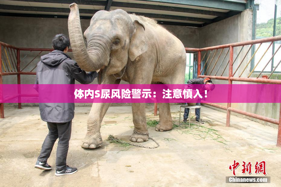 体内S尿风险警示：注意慎入！