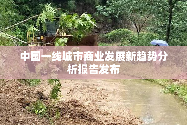 中国一线城市商业发展新趋势分析报告发布