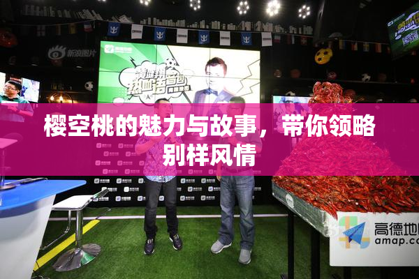 樱空桃的魅力与故事，带你领略别样风情