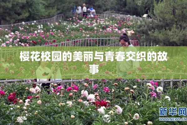 樱花校园的美丽与青春交织的故事