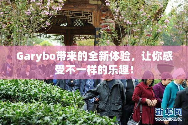 Garybo带来的全新体验，让你感受不一样的乐趣！