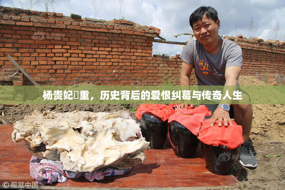 杨贵妃婬重，历史背后的爱恨纠葛与传奇人生