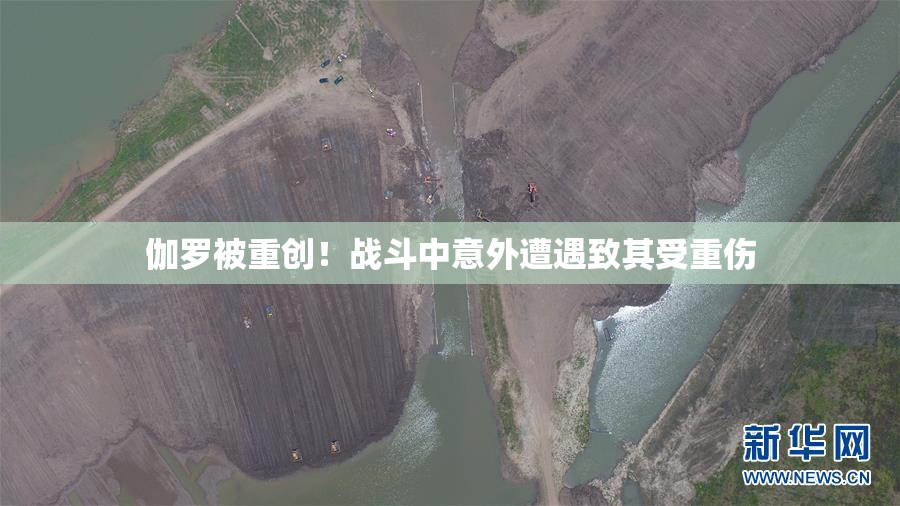 伽罗被重创！战斗中意外遭遇致其受重伤