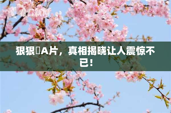 狠狠穞A片，真相揭晓让人震惊不已！