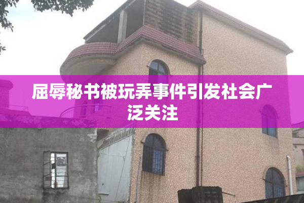 屈辱秘书被玩弄事件引发社会广泛关注