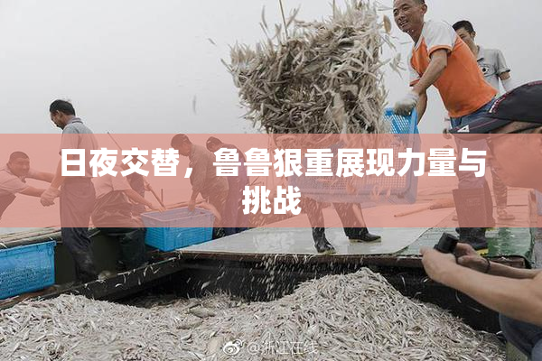 日夜交替，鲁鲁狠重展现力量与挑战