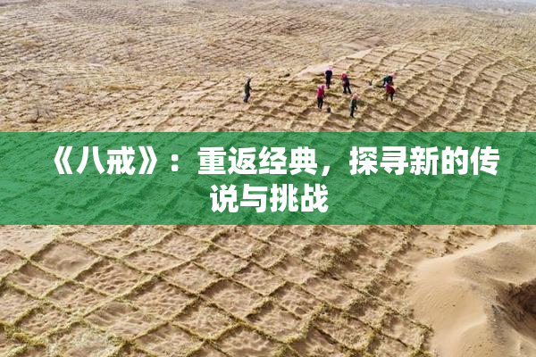 《八戒》：重返经典，探寻新的传说与挑战