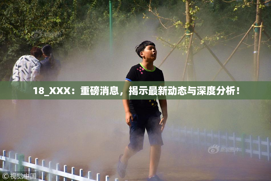 18_XXX：重磅消息，揭示最新动态与深度分析！