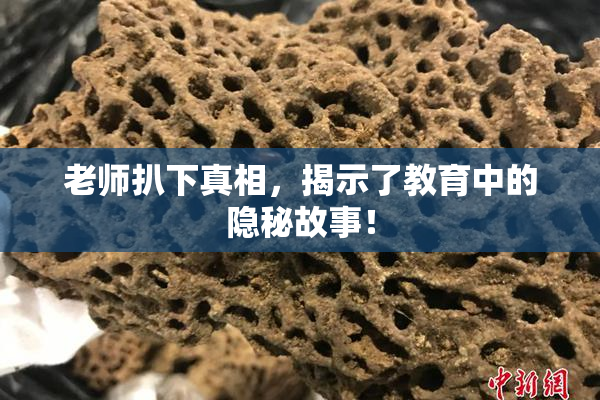 老师扒下真相，揭示了教育中的隐秘故事！